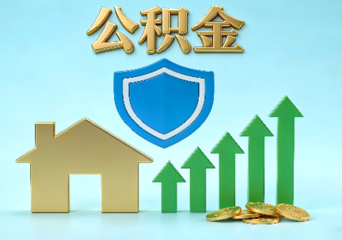 玉树当前住房公积金提取条件分类指南与政策趋势