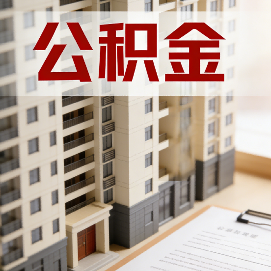 玉树公积金代办行业新生态:从“跑腿中介”到“生活管家”的进化之路